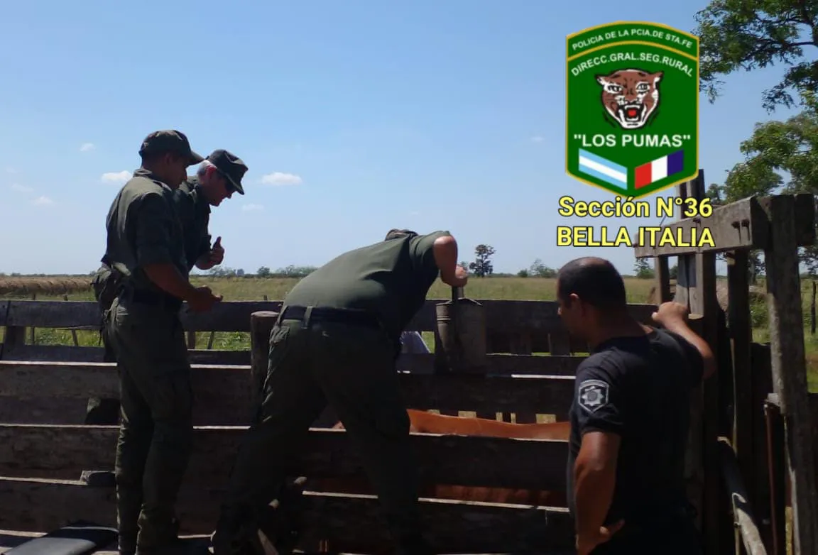 WhatsApp Image 2024-02-08 at 10.35.21 PM (1)