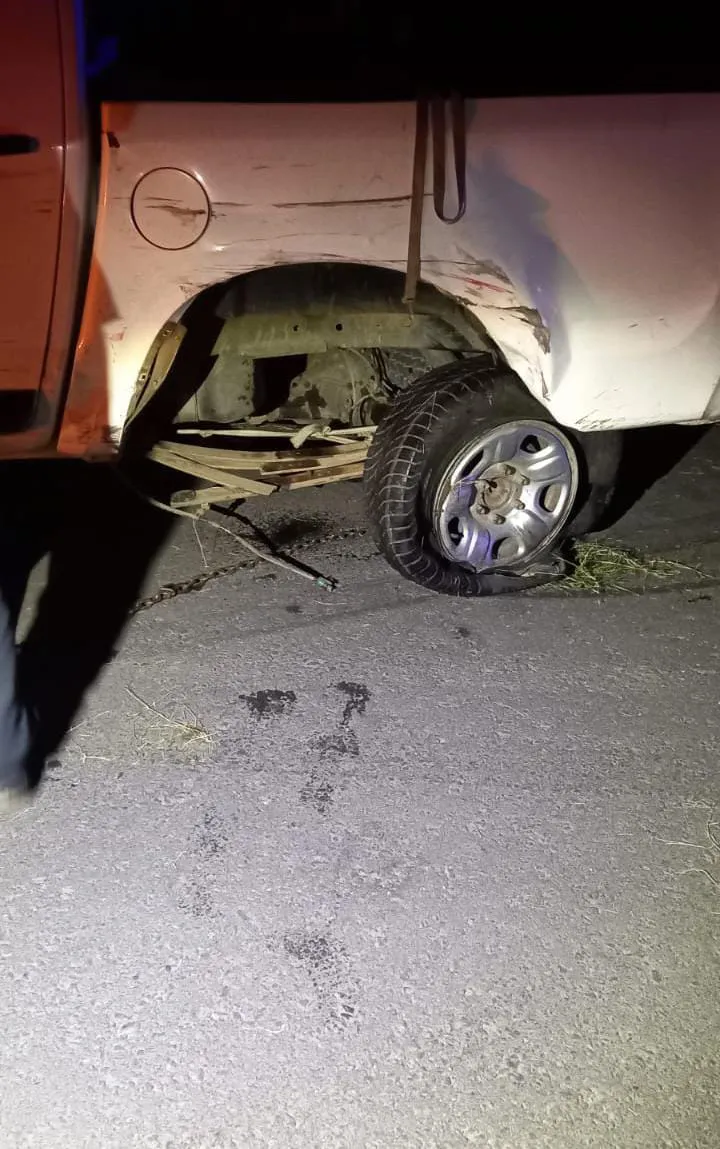 WhatsApp Image 2024-01-15 at 10.54.42 AM (1)