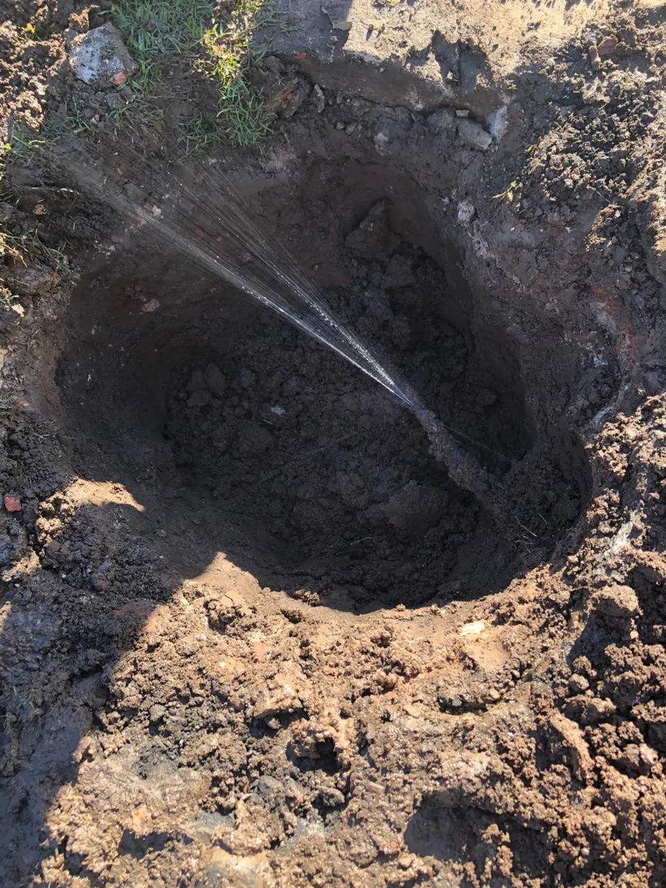 WhatsApp Image 2023-12-11 at 8.00.37 AM