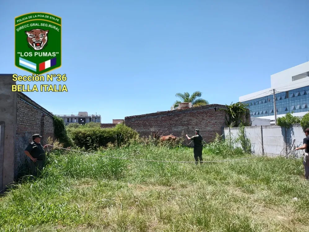 WhatsApp Image 2024-02-02 at 6.41.18 PM