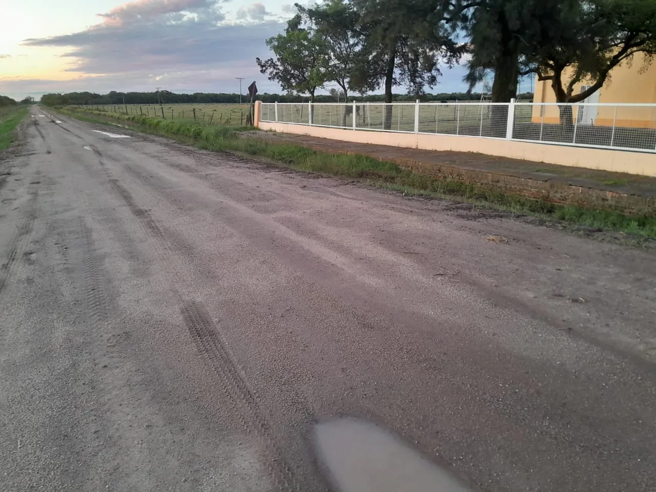 WhatsApp Image 2024-11-25 at 9.03.53 PM